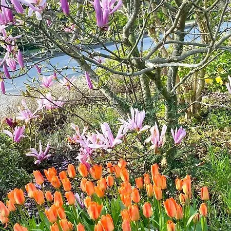 Lucienne Bed and Breakfast *