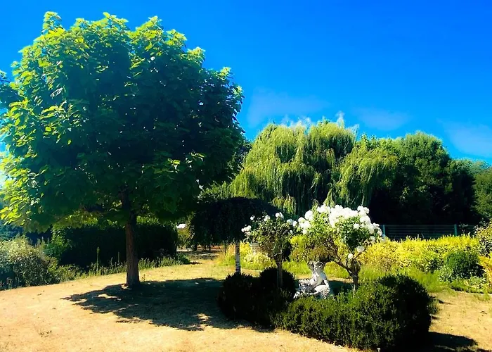 Lucienne * Comines-Warneton