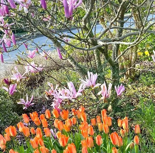 Lucienne Bed & Breakfast *